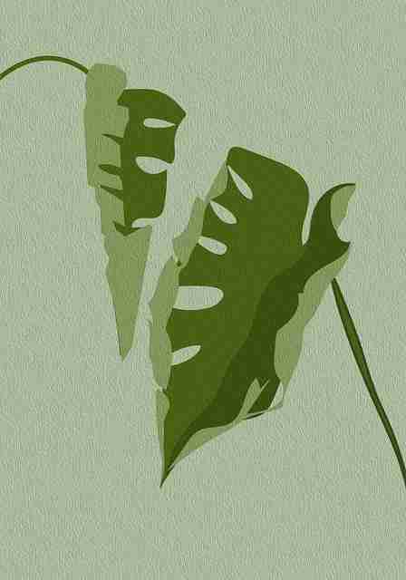 46个关键点51视频网站高手攻略玩家必看