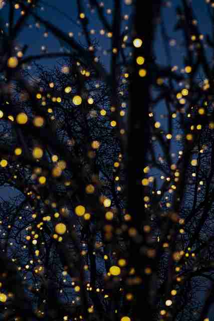 付费首发-麻豆-深度解析-看点大合集