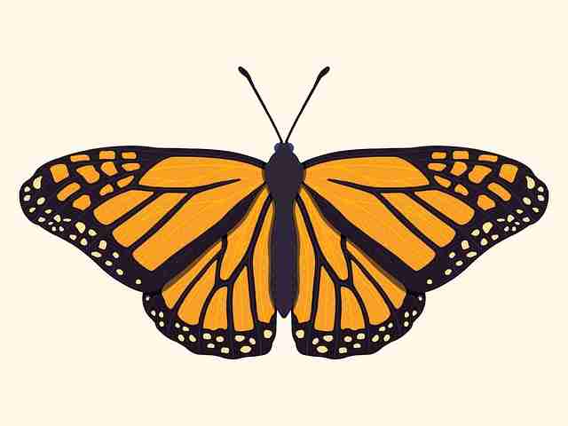 麻豆月度盘点：幕后故事极限挑战