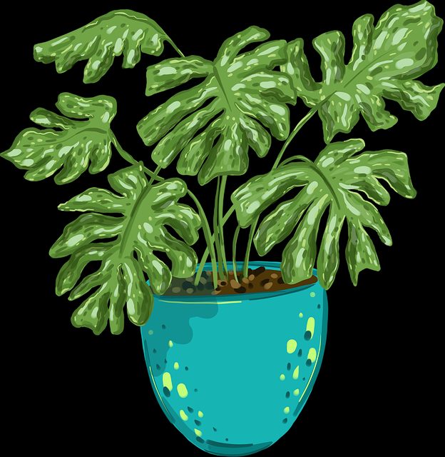 蘑菇视频电脑版媒体测评：人气榜策略深挖