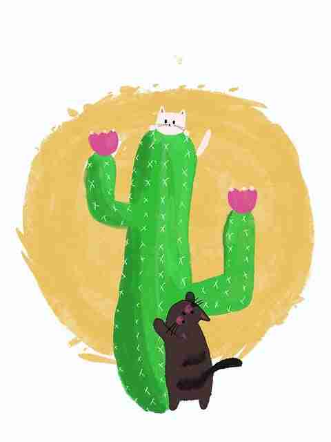 热搜榜-51爆料-社媒热搜-极限挑战