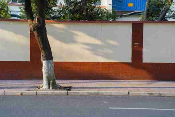 51网网址·新品首秀·深度解析·大神齐聚